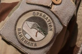 Cette photo d'archive prise le 1er janvier 2015 montre le logo de l'opération Barkhane