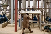 Une usine de transformation de tomates du groupe Dangote près de Kano le 11 décembre 2015
