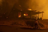 Un pompier lutte contre les flammes du "Mountain Fire" près de Camarillo, en Californie, le 6 novembre 2024