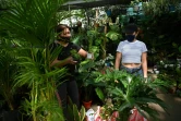 Une femme achète des plantes dans une pépinière, le 29 octobre 2020 à Manille, aux Philippines