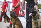 Des chiens entraînés par des pompiers à détecter une éventuelle odeur du coronavirus, le 30 avril 2020 à Ajaccio, en Corse