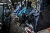 Des migrants  dans des tentes igloo qui se multiplient le 27 octobre 2016 à Paris