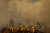 Des pompiers luttent contre l'incendie Oak Fire près de Mariposa (Californie), le 24 juillet 2022