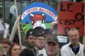 Défilé à Strasbourg avec les manifestants qui brandissent une pancarte "la vache qui crie", à Strasbourg, le 22 octobre 2019