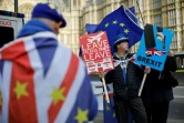 Des manifestants anti-Brexit devant le Parlement britannique à Londres, le 12 février 2019
