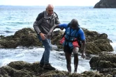 Didier Cadiou aide un kayakiste qui a chaviré à proximité de la plage de l'Île Vierge sur la presqu'île de Crozon dans le Finistère, le 29 juillet 2021