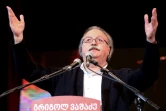 Grigol Vachadzé, candidat de l'opposition s'adresse à ses partisans à Tbilissi, le 29 novembre 2018