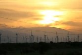 Des éoliens dans le hameau de La Ventosa, ainsi nommée en raison des vents qui le traversent, dans le sud du Mexique, le 27 juillet 2017