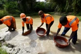 Des employés de Tigui Mining Company et sa responsable Tiguidanke Camara (C) le 25 février 2017 à Guingouiné en Côte d'Ivoire