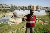 Farouq Breika, un agriculteur palestinien, devant une serre abritant de nombreux cratères, à la frontière entre l'Egypte et la bande de Gaza, à Rafah le 1er mars 2016