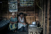 Deux femmes bénéficiaires d'un projet pilote du WWF visant à produire du biogaz domestique, regardent leur nouveau réchaud à gaz, à Sake, le 28 septembre 2019 en RDC