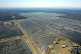 Vue aérienne des panneaux solaires de la centrale photovoltaïque de Karavasta, le 4 octobre 2023 en Albanie