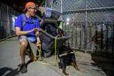 Alex Middleton, dresseur de chiens et membre de l'association R.A.T.S, laisse son chien fouiller les poubelles à la recherche de rats, le 14 mai 2021 à New York