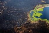 Photo aérienne montrant le 27 juillet 2021 les ravages des feux en Sibérie