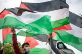 Des manifestants pro-palestiniens à Nantes, le 15 mai 2021