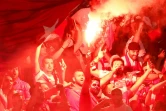 Des supporters turcs brandissent un fumigène et font le salut des "Loups gris" avec leurs doigts dans les tribunes du Stade olympique de Berlin, pendant la rencontre entre la Turquie et les Pays-Bas, à Berlin en Allemagne, le 6 juillet 2024