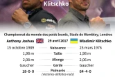 Boxe: Joshua vs. Klitschko