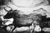 Photo non datée d'un des motifs vieux de 13.000 ans, peint sur une paroi de la grotte de Lascaux, dans la commune de Montignac