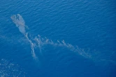Photo fournie par l'Armée de l'Air montrant des hydrocarbures en mer le 12 juin 2021 à l'est de la Corse