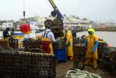 Des pêcheurs se préparent à une sortie en mer à Bridlington (nord-est de l'Angleterre), le 11 décembre 2020