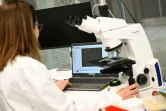 Justine O'Brien, responsable des sciences de la conservation à la Taronga Conservation Society Australia, examine des échantillons de gamètes de corail dans un laboratoire de Sydney, le 29 mai 2025 en Australie