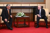 Photo diffusée par l'agence russe Sputnik du Premier ministre hongrois Viktor Orban avec le président russe Vladimir Poutine à Pékin, le 17 octobre 2023