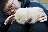Zhang Yachun parle à Aluo, son "animal de compagnie", un robot BooBoo qui utilise l'intelligence artificielle pour interagir avec les humains, le 7 janvier 2025 à Pékin