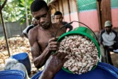 Un ouvrier malgache décharge les fèves de cacao à Ambanja, à Madagascar, le 29 novembre 2016 