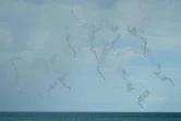 Des soldats de l'armée taïwanaise tirent des fusées éclairantes lors d'un exercice anti-atterrissage dans le comté de Pingtung au sud de Taïwan, le 9 août 2022