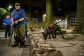 Des membres de l'association R.A.T.S près des rats que leurs chiens ont attrapés et tués, le 14 mai 2021 à New York