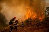 Des pompiers serbes luttent contre un feu de forêt sur l'île d'Eubée, le 9 août 2021 en Grèce