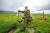 Avec furets et filets, un Irlandais perpétue la tradition de la chasse au lapin