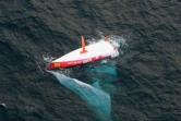 Le mononocque "VM Matériaux" du navigateur français Jean Le Cam est retrouvé, retourné quille en l'air, le 6 janvier 2009, après son naufrage lors de la course du Vendée Globe 