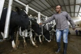 Les déjections des mille vaches de la ferme Jebrini produisent 380 kilowatts par heure à Hébron, en Cisjordanie, ici le 10 avril 2017