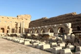 Un quartier de l'ancienne cité romaine de Leptis Magna, en Libye le 18 décembre 2016.