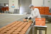 Un employé de Halk Ekmek fabrique dans cette boulangerie municipale du pain avec de la farine de blé ancestral, de lentilles et de boulgour, comme l'était celui de Kullüoba, à Eskisehir, en Turquie, le 23 mai 2025