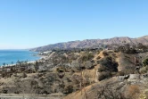 Un quartier presque entièrement détruit par l'incendie de Palisades, le 21 janvier 2025 à Pacific Palisades, à Los Angeles, en Californie