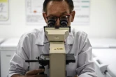 Le dépistage du cancer du foie se développe car depuis l'an passé, les autorités sanitaires de Thaïlande ont fait de ce problème une priorité nationale