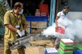 En Inde, les maladies de la mousson vont s'ajouter à la crise sanitaire