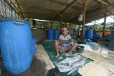 Des travailleurs indonésiens sèchent du poisson à Sidoarjo sur un terrain de la zone ravagée par un volacan de boue en 2006