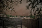 Tempête de sable dans le village de Bermo, au Niger, le 25 juin 2019