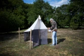 L'entomologiste Martin Sorg vérifie une tente qui sert de piège à insectes, le 9 mai 2019 à Krefeld