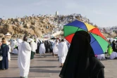 Un pèlerin se protège du soleil avec un parapluie, au pied du mont Arafat le 5 juin 2025