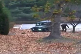 Capture d'image d'une vidéo fournie par le Commandement des Nations Unis en Corée montrant un militaire nord-coréen , quittant un véhicule pour courir vers la Zone démilitarisée, le 22 novembre 2017