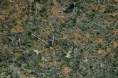 Vue aérienne d'une zone de déforestation de la forêt amazonienne, le 23 août 2019 près de Porto Velho, dans le nord du Brésil