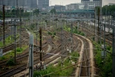Abords enherbés des voies ferrées à la gare de Lille, en juin 2016
