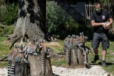Un soigneur donne à manger aux lémuriens du parc animalier de Thoiry, le 29 mai 2020 dans les Yvelines