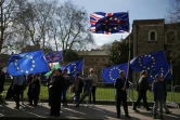 Des manifestants anti-Brexit à proximité du Parlement britannique, le 25 mars 2019 à Londres