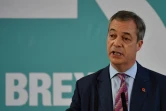 L'europhobe Nigel Farage, chef de file du Parti du Brexit, à Hartlepool le 11 novembre 2019