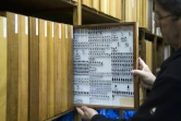 Un bénévole de la Société d'entomologie montr edes insectes collectés,  le 9 mai 2019 à Krefeld, en Allemagne 